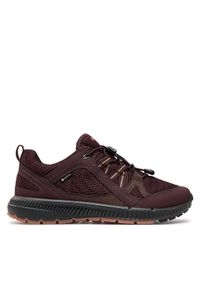 ecco - ECCO Sneakersy 84306351502 Fioletowy. Kolor: fioletowy. Materiał: materiał #1