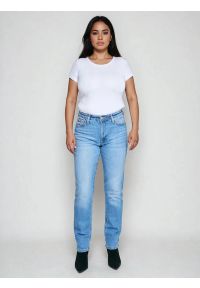 Big-Star - Jeansy damskie proste niebieskie Charlotte 485. Okazja: na co dzień. Stan: podwyższony. Kolor: niebieski. Styl: casual, vintage #9