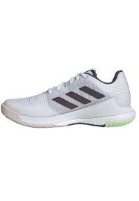 Adidas - Buty do siatkówki adidas Crazyflight W IG3968 białe. Zapięcie: sznurówki. Kolor: biały. Materiał: tkanina, syntetyk, guma. Szerokość cholewki: normalna. Sport: siatkówka