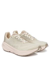 Altra Buty do biegania Experience Flow 3 AL0A85U79 Beżowy. Kolor: beżowy. Materiał: materiał #3