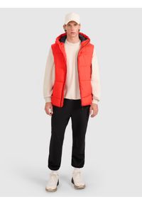 4f - 4F Bezrękawnik puchowy z wypełnieniem syntetycznym męski - czerwony S. Okazja: na co dzień. Kolor: czerwony. Materiał: syntetyk, puch. Długość rękawa: bez rękawów. Długość: długie. Styl: casual, klasyczny, sportowy #2