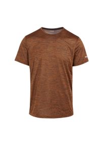 Regatta - T-shirt Męski Melanżowy Fingal Edition. Kolor: żółty, pomarańczowy, wielokolorowy. Wzór: melanż