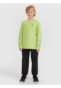 4f - 4F Longlseeve regular z nadrukiem chłopięcy - zielony 164 (13-14 lat). Okazja: na co dzień. Kolor: zielony. Materiał: tkanina, jersey, bawełna, materiał. Długość rękawa: długi rękaw. Długość: długie. Wzór: nadruk. Sezon: lato. Styl: casual, klasyczny, sportowy #2