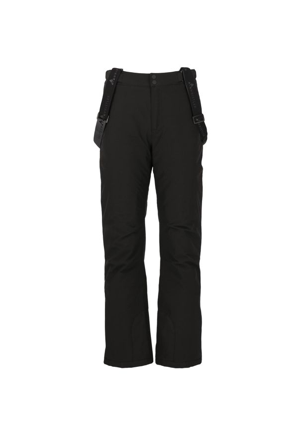 Spodnie narciarskie dla kobiet Whistler Portivo W-Pro 8000. Kolor: czarny. Sezon: zima. Sport: narciarstwo