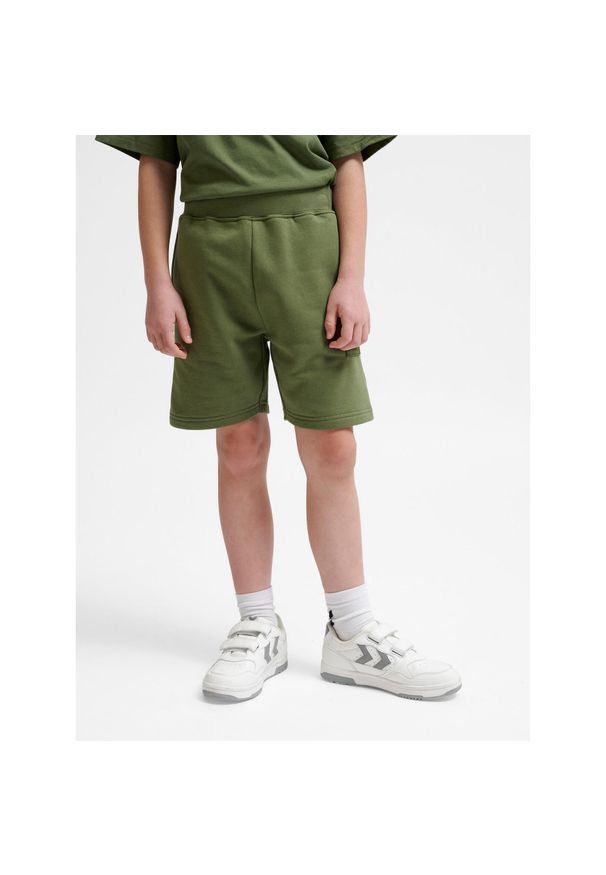 Szorty dla dzieci Hummel Clean. Okazja: na uczelnię. Kolor: wielokolorowy, zielony, brązowy. Materiał: bawełna. Styl: sportowy. Sport: joga i pilates