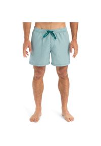 Quiksilver - Szorty kąpielowe dla Mężczyzn EVERYDAY DELUXE 15". Kolor: zielony. Materiał: poliester, materiał. Styl: sportowy #1