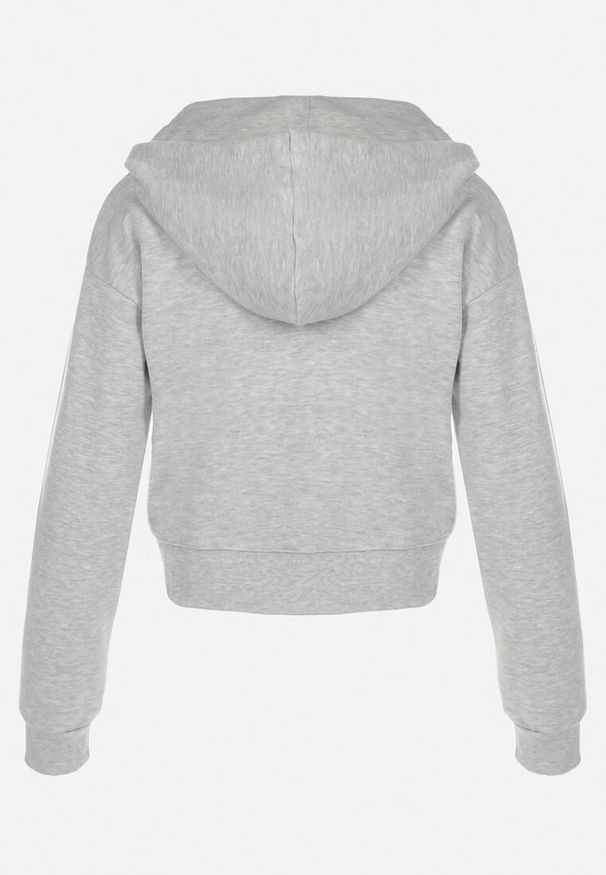 Born2be - Szara Bluza Zasuwana z Kapturem Albika. Typ kołnierza: kaptur. Kolor: szary. Materiał: dzianina, polar. Długość: krótkie. Wzór: gładki, jednolity