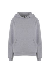Bluza damska z kapturem Urban Classics Loose Light Brushed. Typ kołnierza: kaptur. Kolor: szary #1