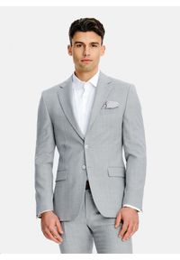 Pako Lorente - PAKO LORENTE - Szary garnitur męski z wełną. Kolor: szary. Materiał: wełna #3