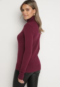 Born2be - Ciemnobordowy Golf Sweter z Wiskozą i Kaszmirem Zailaya. Okazja: na co dzień. Typ kołnierza: golf. Kolor: czerwony. Materiał: kaszmir, wiskoza. Styl: casual #6