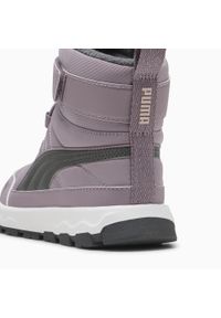 Puma - Dziecięce buty PUMA Evolve PUMA Plum Jam Shadow Gray Purple. Kolor: fioletowy, szary, wielokolorowy. Sport: turystyka piesza