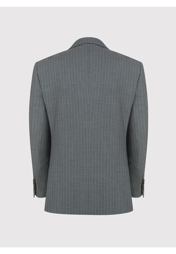 Pako Lorente - PAKO LORENTE – Szara marynarka garniturowa w prążek. Kolor: szary. Materiał: wiskoza, poliester. Wzór: prążki