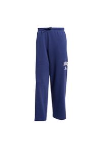 Adidas - Spodnie Collegiate. Kolor: biały, wielokolorowy, niebieski. Materiał: polar