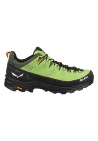 Buty trekkingowe męskie Salewa Alp Trainer 2 Gtx. Kolor: wielokolorowy, czarny, zielony. Materiał: zamsz, materiał, syntetyk. Szerokość cholewki: normalna
