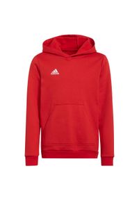 Adidas - Bluza piłkarska dla dzieci adidas Entrada 22 Hoody. Kolor: czerwony. Sport: piłka nożna