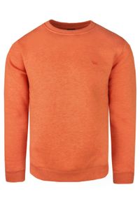 Pomarańczowa Bluza - Wildfinder - Okrągły Dekolt. Okazja: na co dzień. Kolor: pomarańczowy. Materiał: bawełna, poliester. Wzór: melanż. Styl: casual, sportowy