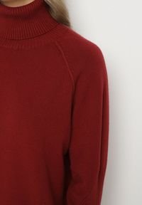 Born2be - Bordowy Klasyczny Golf z Dodatkiem Kaszmiru Zoirmosa. Okazja: na co dzień, do pracy, na spotkanie biznesowe. Typ kołnierza: golf. Kolor: czerwony. Materiał: kaszmir. Długość rękawa: długi rękaw. Długość: długie. Styl: klasyczny #4