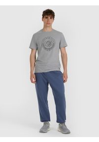 4f - 4F T-shirt regular z nadrukiem męski - szary XL. Okazja: na co dzień. Kolor: szary. Materiał: materiał, bawełna. Wzór: nadruk. Styl: casual