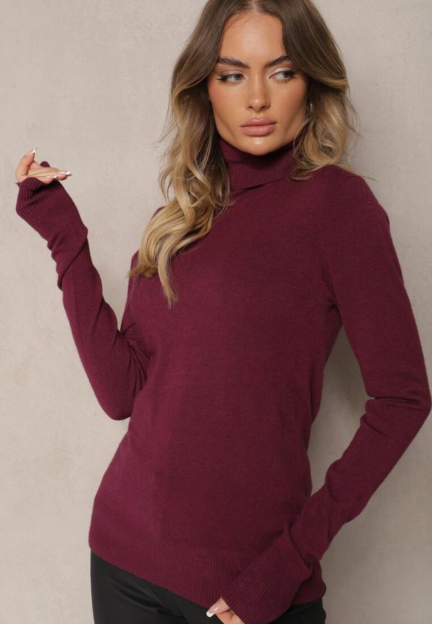 Renee - Ciemnobordowy Golf Sweterkowy z Domieszką Kaszmiru Zaivanna. Okazja: na spotkanie biznesowe, na co dzień, do pracy, na spacer. Typ kołnierza: golf. Kolor: czerwony. Materiał: kaszmir. Sezon: jesień. Styl: biznesowy, klasyczny, casual, elegancki