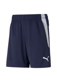 Spodenki dziecięce Puma Team Liga Training. Kolor: biały, wielokolorowy, niebieski