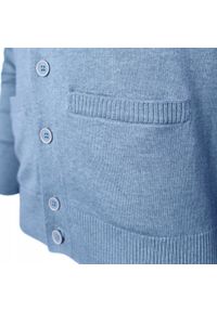 Bawełniany Sweter Męski, Rozpinany (Kardigan) - Pako Jeans - Niebieski. Okazja: na spotkanie biznesowe, do pracy. Kolor: niebieski. Materiał: bawełna. Styl: biznesowy, klasyczny #7
