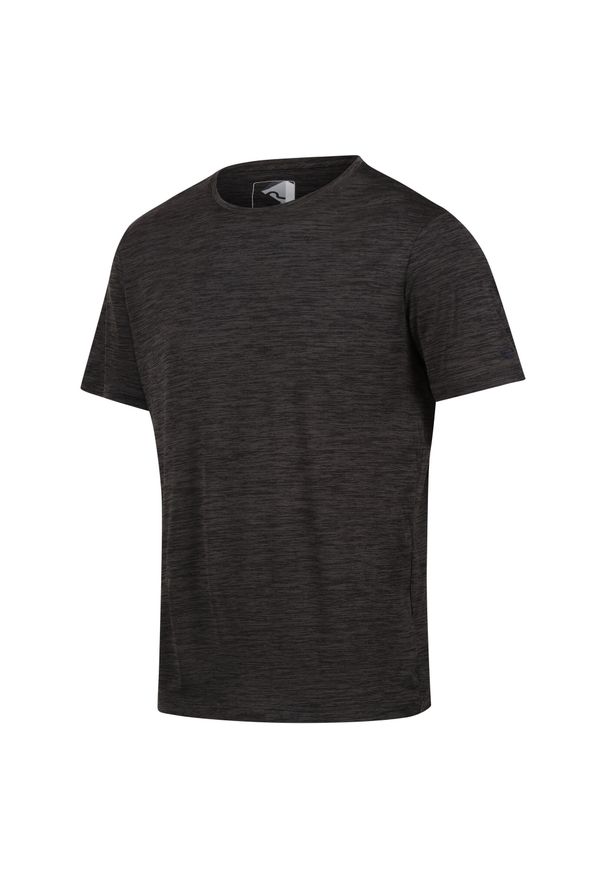 Regatta - Męski t-shirt Fingal brązowy. Kolor: wielokolorowy, szary, niebieski, brązowy. Materiał: poliester. Długość rękawa: krótki rękaw. Długość: krótkie. Sport: turystyka piesza