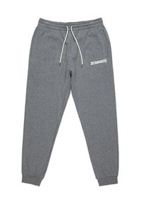 DC Shoes Spodnie dresowe Baseline ADYFB03069 Szary Regular Fit. Kolor: szary. Materiał: bawełna #8
