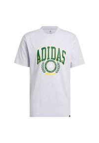Adidas - Koszulka z grafiką Varsity Crest. Kolor: szary
