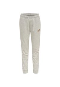Spodnie dresowe dla dzieci Hummel Fast. Kolor: szary. Materiał: dresówka. Sport: joga i pilates
