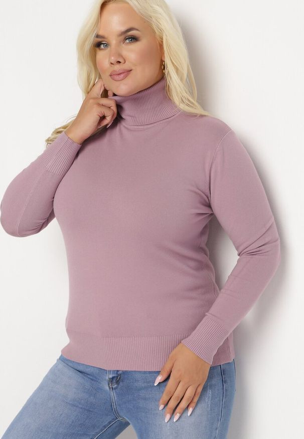 Born2be - Różowy Sweter z Golfem Sazerna w Składzie Wiskoza i Modal. Typ kołnierza: golf. Kolor: różowy. Materiał: wiskoza. Długość rękawa: długi rękaw. Długość: długie. Wzór: gładki. Sezon: jesień, zima