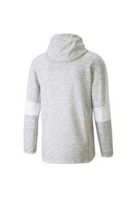 Bluza z kapturem Puma Evostripe Fz Hoodie, Mężczyźni. Typ kołnierza: kaptur. Kolor: biały, wielokolorowy, szary. Materiał: bawełna, materiał