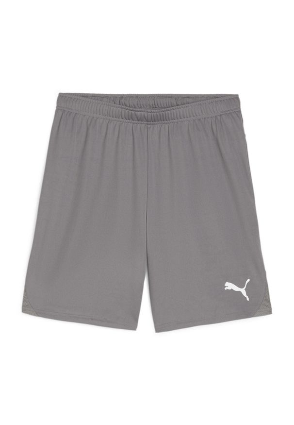Szorty dla dzieci Puma TeamGloal. Kolor: szary. Styl: sportowy