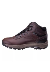 Hi-tec - Męskie Wodoodporne Buty Turystyczne Altitude VI Leather. Kolor: brązowy