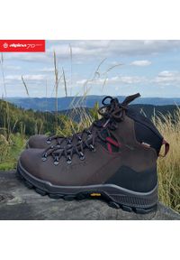 Buty turystyczne dla dorosłych Alpina Prima Mid. Kolor: brązowy #2