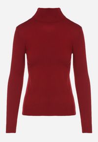 Born2be - Bordowy Klasyczny Golf z Bawełną Reilisea. Okazja: na co dzień. Typ kołnierza: golf. Kolor: czerwony. Materiał: bawełna. Styl: klasyczny #2