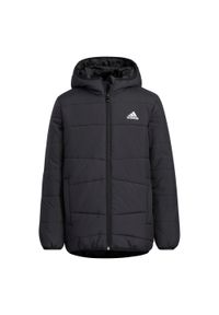 Adidas - Kurtka dziecięca adidas Padded Winter. Kolor: czarny