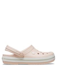 Crocs Klapki Crocband 11016 Różowy. Kolor: różowy