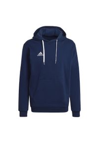 Bluza do piłki nożnej męska Adidas Entrada 22. Kolor: niebieski. Materiał: bawełna, poliester. Sport: piłka nożna