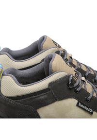 Timberland Sneakersy Field Trekker Low TB0A5SGUW081 Szary. Kolor: szary #5