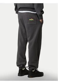 The North Face Spodnie dresowe Expedition Celebration NF0A8E3E Szary Relaxed Fit. Kolor: szary. Materiał: bawełna #4