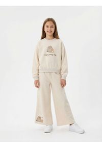 Sinsay - Bluza crewneck z nadrukiem Pusheen the Cat - beżowy. Kolor: beżowy. Wzór: nadruk #1