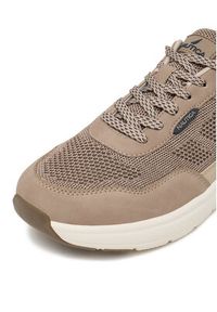 Nautica Sneakersy CWBEO-BASILIO-02 Beżowy. Kolor: beżowy. Materiał: materiał #3