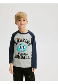 Reserved - Longsleeve Niesamowity Świat Gumballa - jasnoszary. Kolor: szary. Materiał: bawełna, dzianina. Długość rękawa: długi rękaw #1