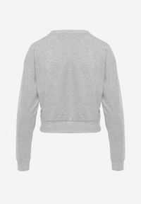 Renee - Jasnoszara Bluza z Bawełną ze Ściągaczami przy Rękawach i w Pasie Alberia. Kolor: szary. Materiał: bawełna #3