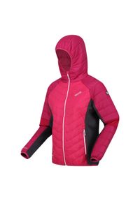 Trutton Regatta damska trekkingowa kurtka. Kolor: różowy. Sport: turystyka piesza #1