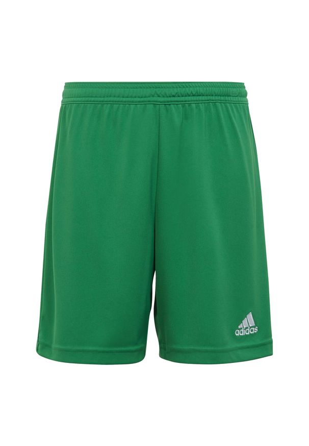 Adidas - Spodenki piłkarskie dla dzieci adidas Entrada 22. Kolor: zielony. Styl: sportowy