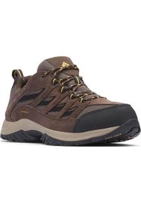 columbia - Buty trekkingowe męskie Columbia Crestwood Waterproof. Zapięcie: sznurówki. Kolor: brązowy. Materiał: syntetyk, materiał, zamsz, guma. Szerokość cholewki: normalna. Sport: turystyka piesza #1