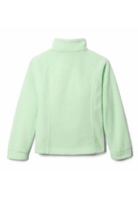columbia - Columbia Polar Benton Springs Fleece 1510631372. Kolor: zielony. Materiał: polar