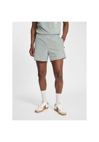 Szorty Hummel Pulse. Kolor: szary. Sport: fitness #1
