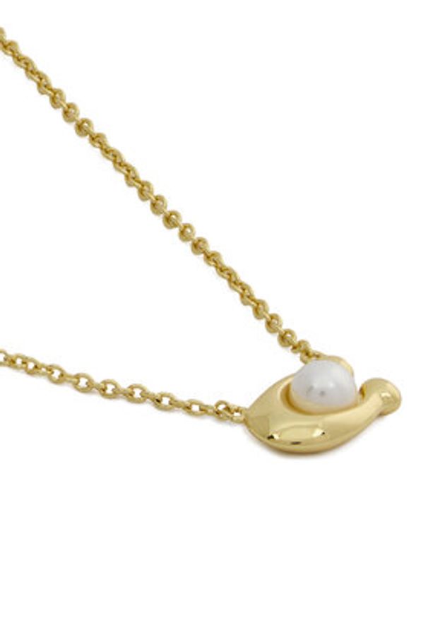 Coach Naszyjnik 37341916 Złoty. Materiał: metalowe. Kolor: złoty